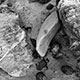 <em>East/West #3</em>, gelatin silver print