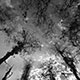 <em>East/West #10</em>, gelatin silver print