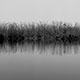 <em>East/West #13</em>, gelatin silver print