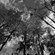 <em>East/West #15</em>, gelatin silver print