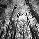 <em>East/West #21</em>, gelatin silver print