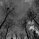 <em>East/West #25</em>, gelatin silver print
