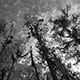 <em>East/West #28</em>, gelatin silver print