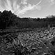 <em>East/West #30</em>, gelatin silver print