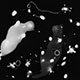 <em>Constellation Cats</em>, gelatin silver print, 33x40, in collaboration with Dr. Thomas Russo