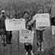Protest America