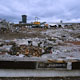 Tindle Mills, 2009-2010