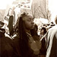 Protest America